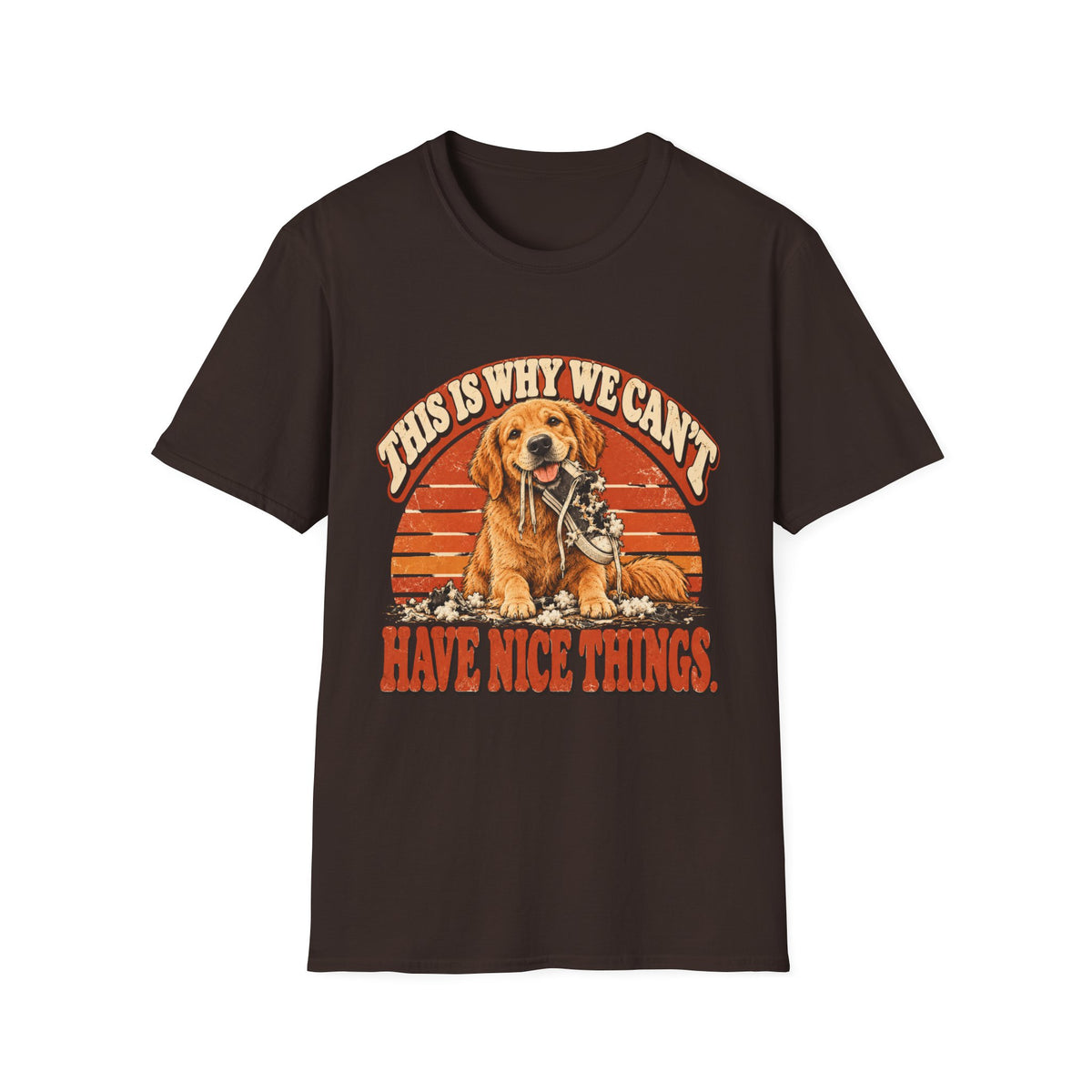 This is why we can't have nice things T-Shirt