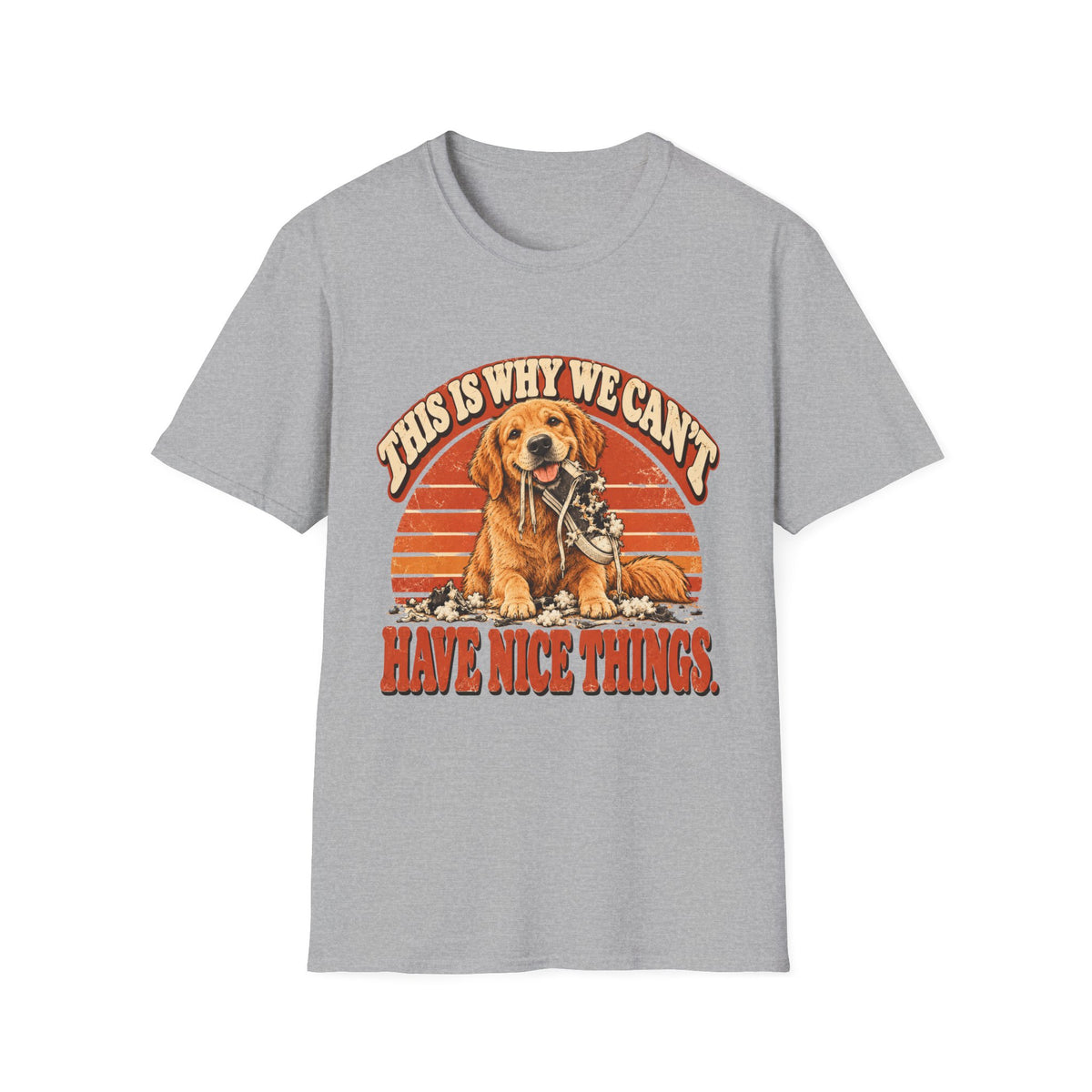 This is why we can't have nice things T-Shirt